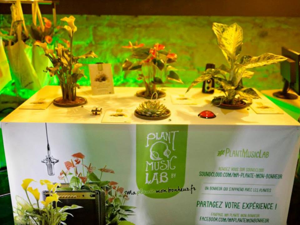 www.maplantemonbonheur.fr www.maplantemonbonheur.fr music plante electro