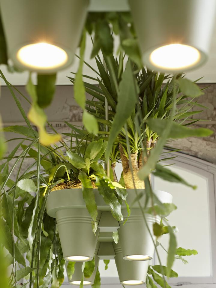De Bucketlight hangend aan het plafond - mooiwatplantendoen.nl