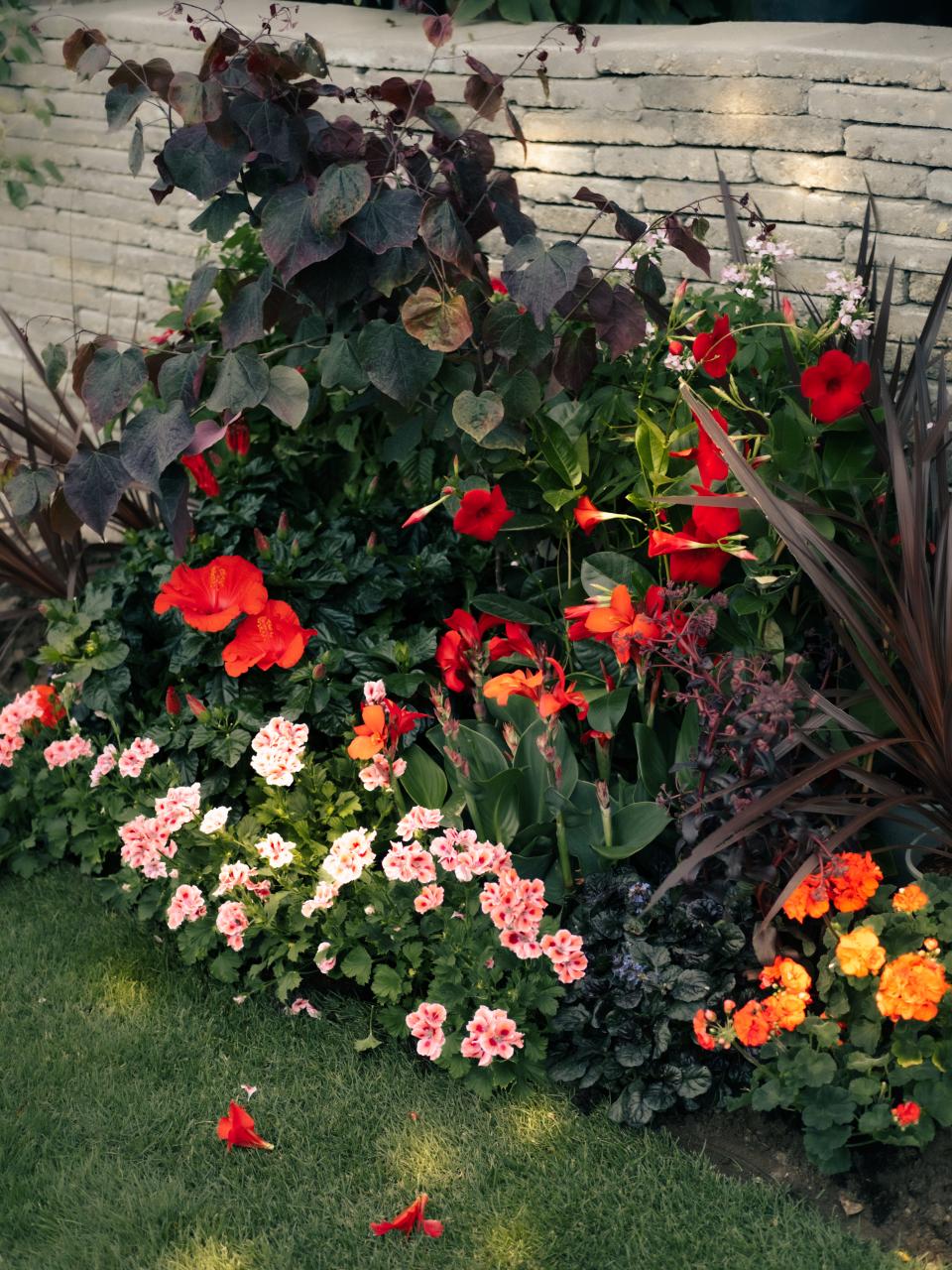 kleurrijke border geveltuin | mooiwatplantendoen