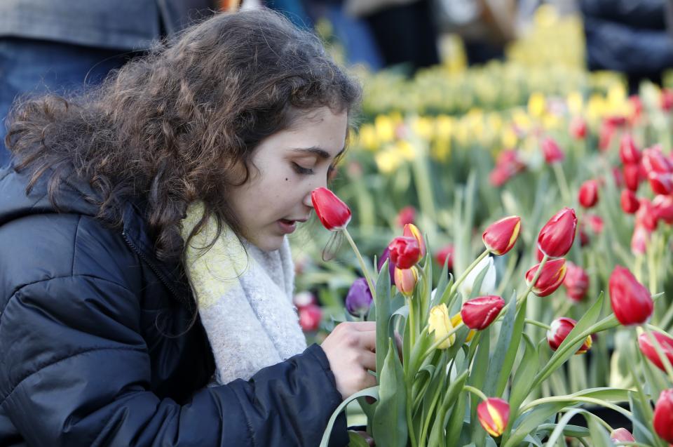 Fête des tulipes