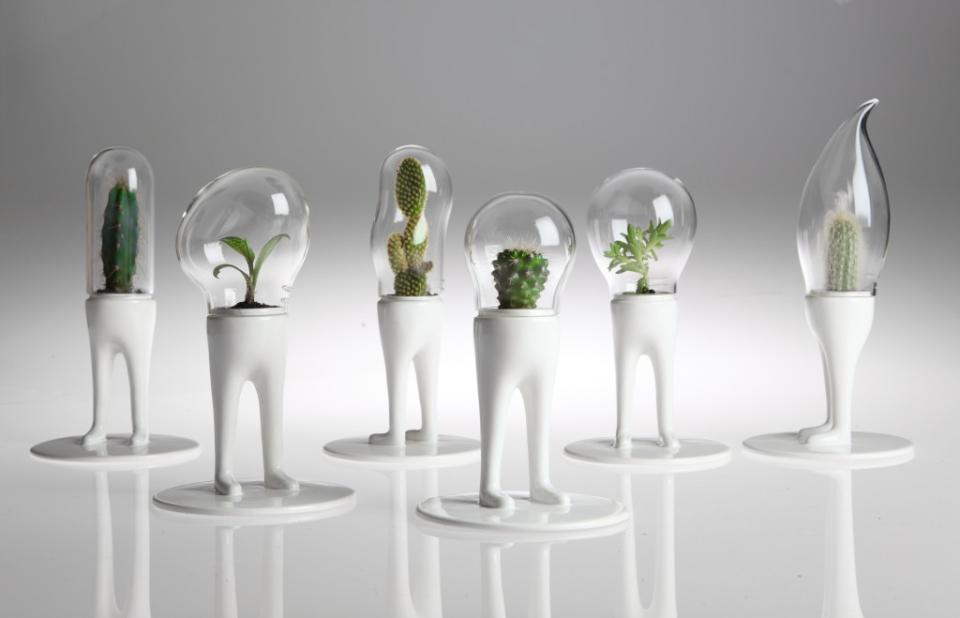 maplantemonbonheur.fr Des cadeau originaux maplantemonbonheur.fr cadeau noel plante design
