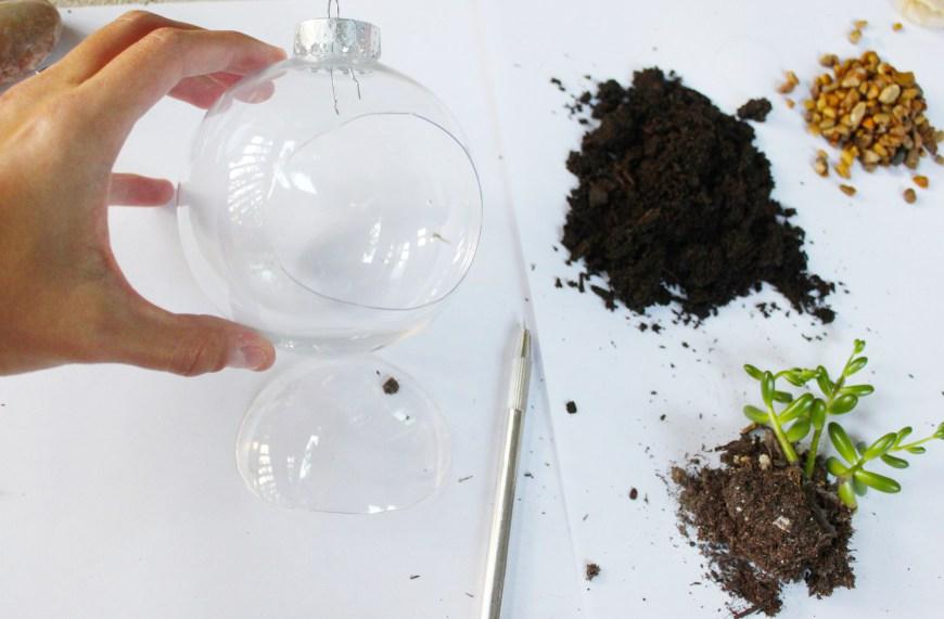 maplantemonbonheur.fr Un jardin dans une boule! maplantemonbonheur.fr noel boule terrarium