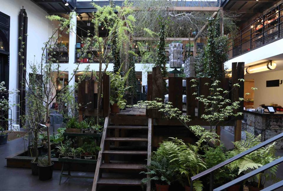 maplantemonbonheur.fr mauvaises graines maplantemonbonheur.fr mauvaises graines merci rock design