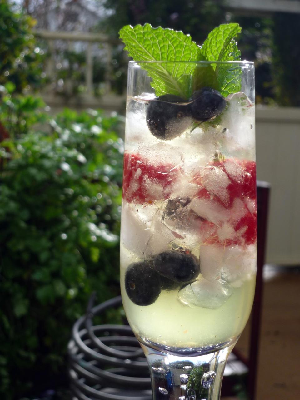 Maplantemonbonheur.fr Cultivez vos cocktails ! Maplantemonbonheur.fr plante cocktails culture jardin recette