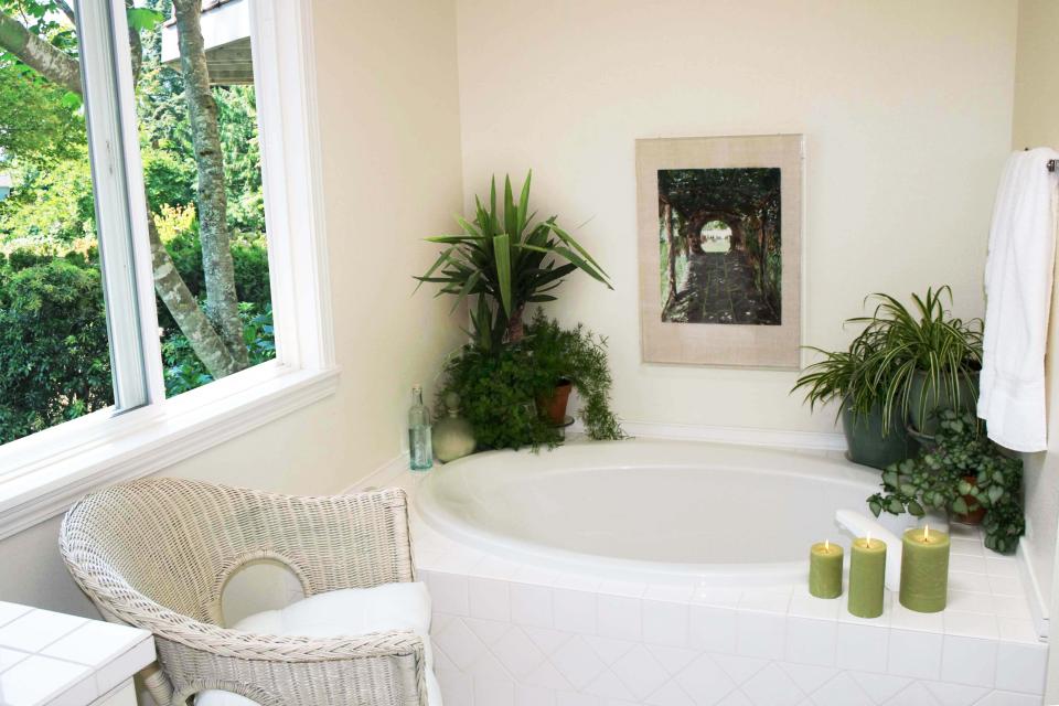 maplantemonbonheur.fr serre de bain maplantemonbonheur.fr plante bain serre deco