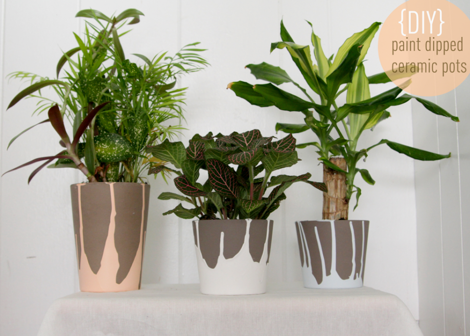 maplantemonbonheur.fr Se la couler douce… maplantemonbonheur.fr diy peinture pot decoration fait maison