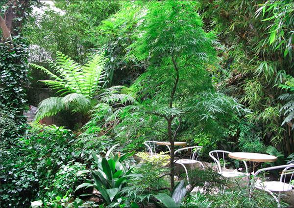 Maplantemonbonheur.fr LES JARDINS DE KALI Maplantemonbonheur.fr plante jardin paris terrarium Kali Vermes terrasse