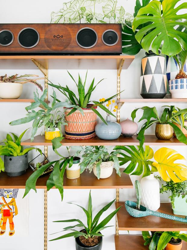 foragte rytme Piping Inspiration d'intérieur : le Jungalow ! | Ma plante mon bonheur