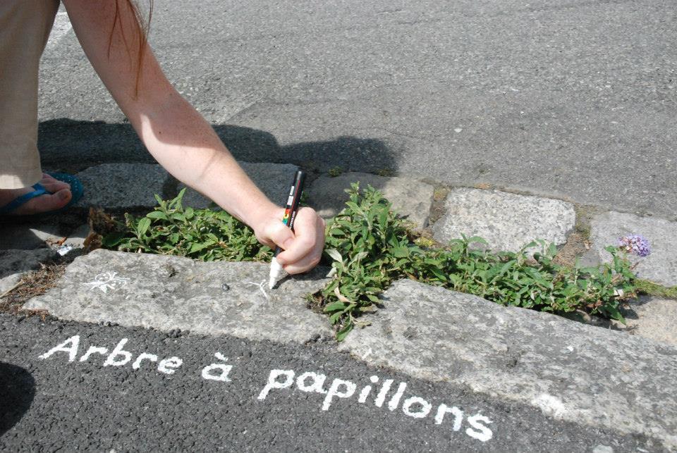 maplantemonbonheur.fr plantes urbaines maplantemonbonheur.fr plantes ville design poesie