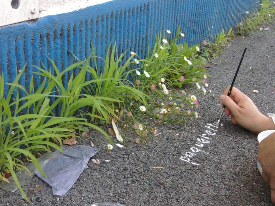 maplantemonbonheur.fr plantes urbaines maplantemonbonheur.fr plantes ville design poesie