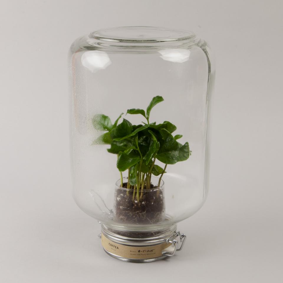 maplantemonbonheur.fr vacances soin plante 