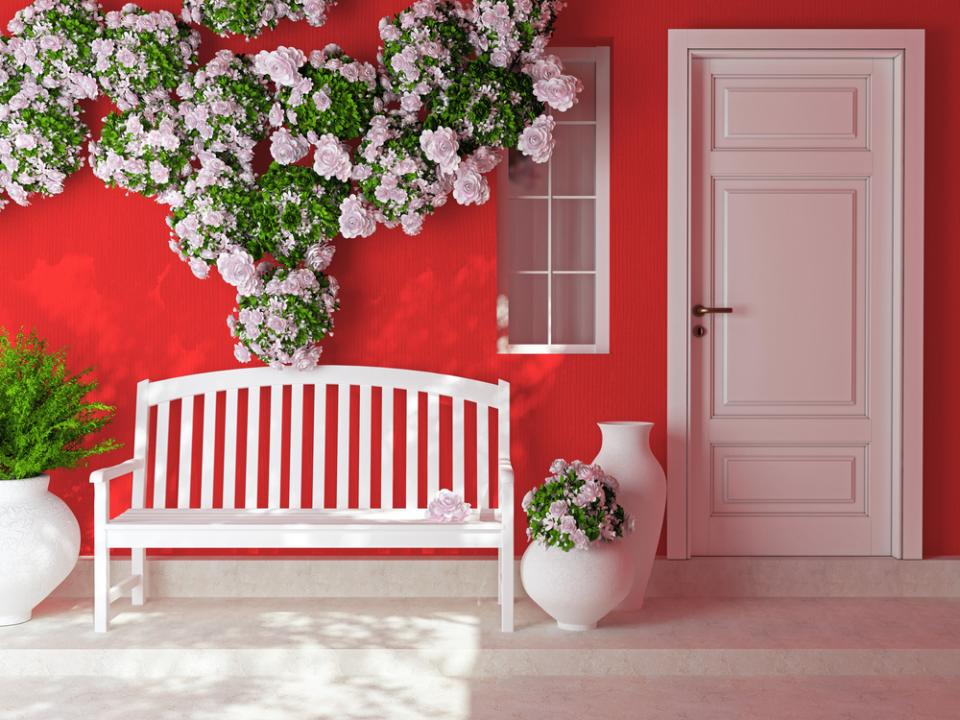 maplantemonbonheur.fr plante d'amour maplantemonbonheur.fr plante d'amour jasmin rose