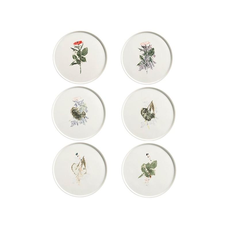 maplantemonbonheur.fr Une beauté porcelaine maplantemonbonheur.fr beauté porcelaine vaisselle design