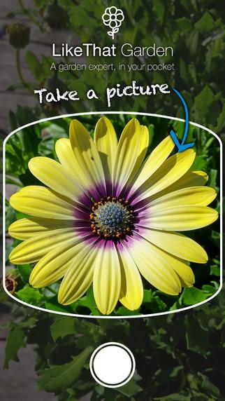 maplantemonboneur.fr Nom d’une plante ! maplantemonboneur.fr plante nom application téléphone connaissance