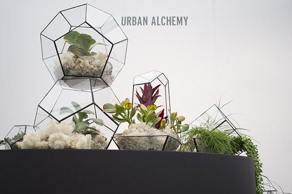 maplantemonbonheur.fr Gemme J'aime maplantemonbonheur.fr terrarium plante design mini plantes