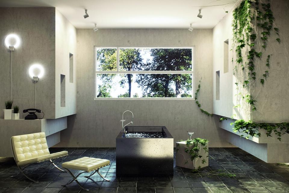 maplantemonbonheur.fr L’incroyable Lierre ! maplantemonbonheur.fr lierre beauté décoration grimpant réve incroyable
