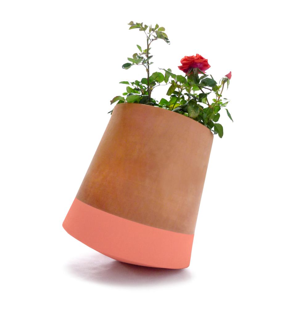 maplantemonbonheur.fr Plante qui roule… maplantemonbonheur.fr Plante roule designer
