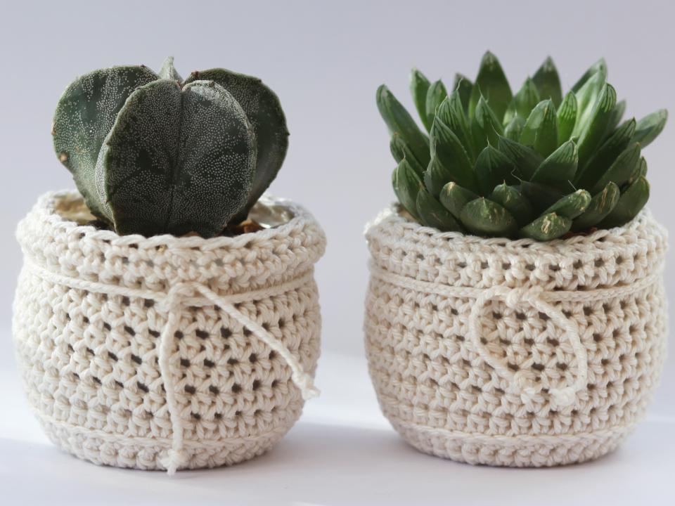 maplantebonheur.fr Accrochetez-vous ! ¬¬¬¬maplantemonbonheur.fr accrochetez vous plante pot tricot crochet