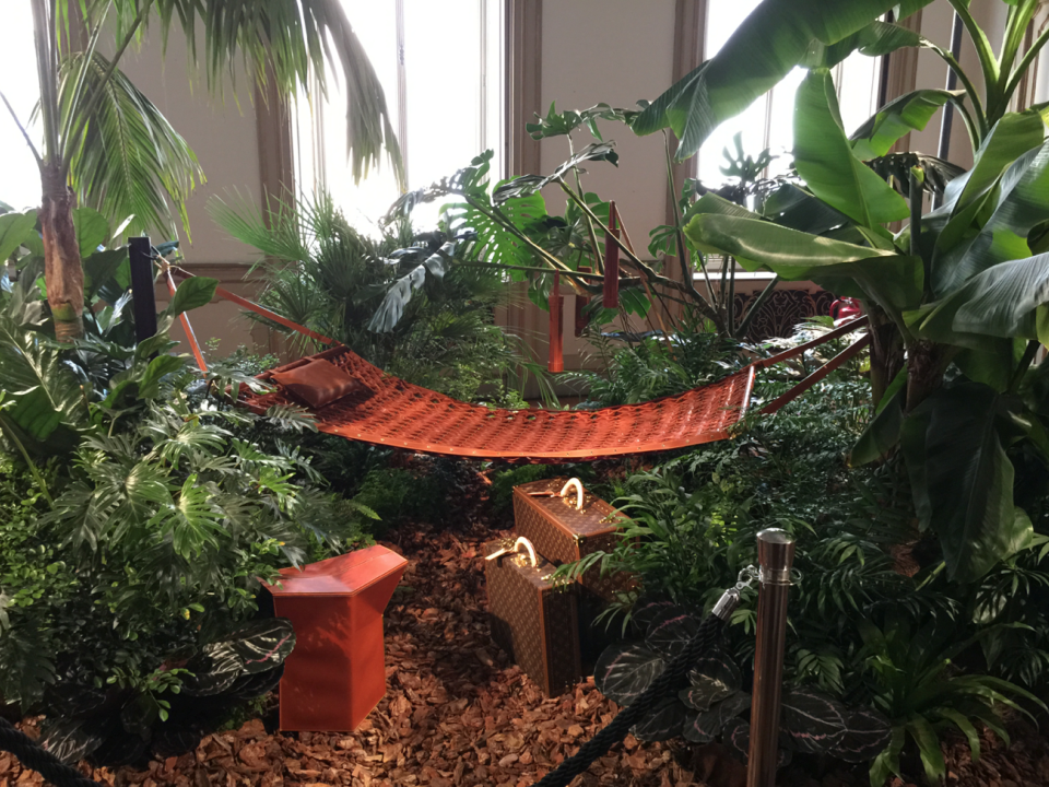 maplantemonhoneur.fr Un coin tropical maplantemonhoneur.fr coin tropical Louise vuitton