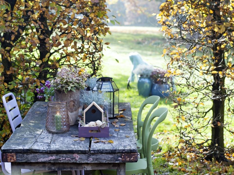 Tendance automne 2016 : Un jardin d&#039;automne plein de secrets - Maplantemonbonheur.fr