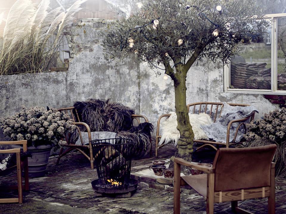 Créez un coin cosy autour d’un feu de joie d'hiver | Maplantemonbonheur.fr