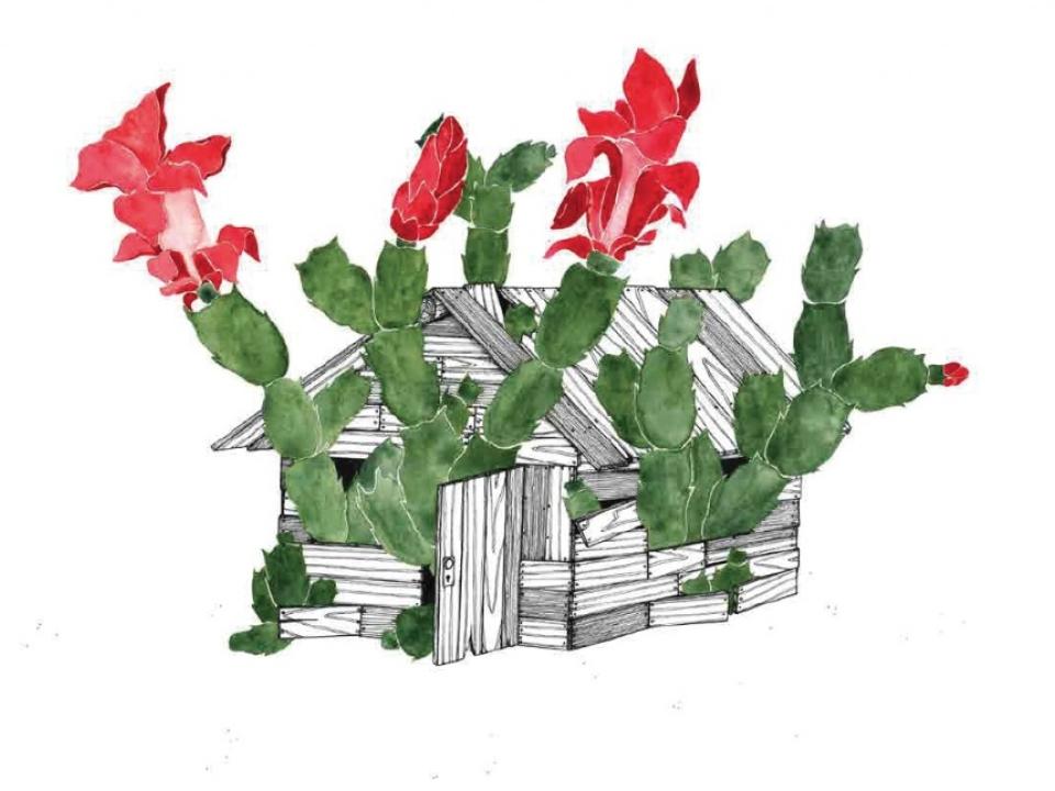maplantemonbonheur.fr schlumbergera plante exposition Thibault Gleize