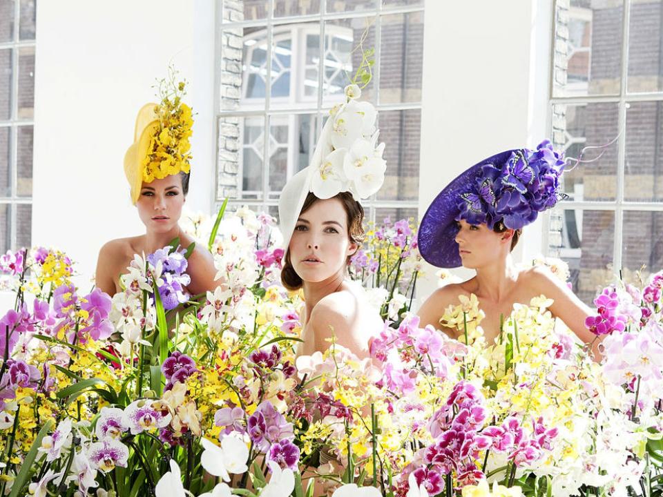 Orchid Hat Philip Treacy