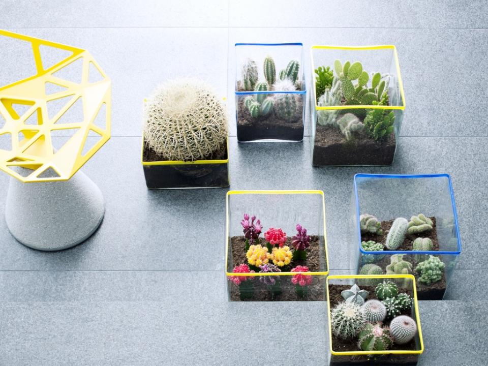 plantezledecor homedecor coaching maplantemonbonheur.fr 