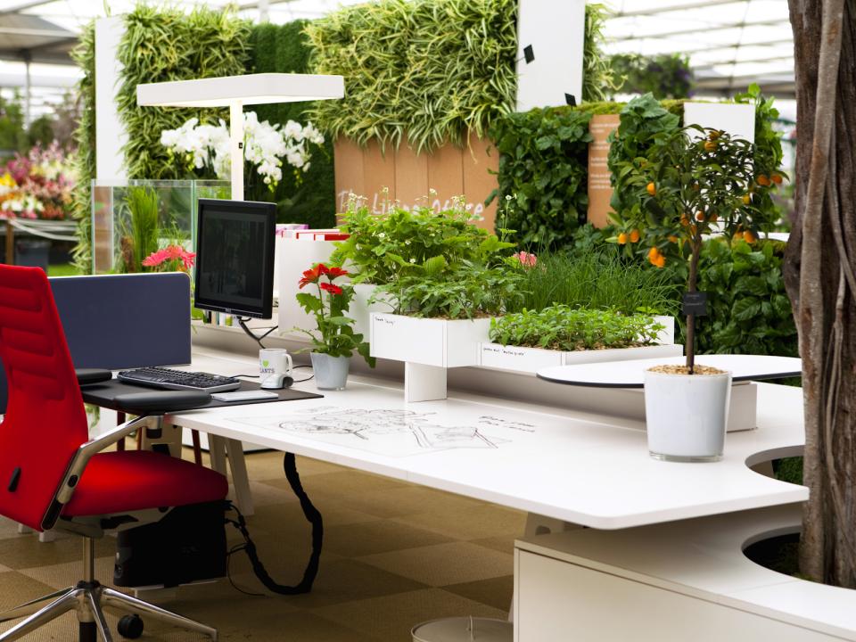 Maplantemonbonheur.fr bureau travail plante relax