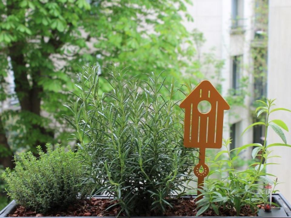 mapalntemonbonheur.fr Vite, une jardinière ! maplantemonbonheur.fr jardinière fenetre plante DIY fleur en fille