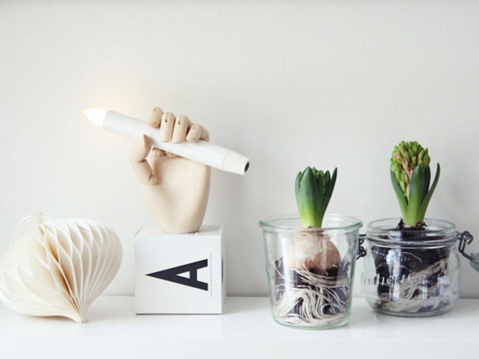 DIY : les Jacinthes récup'chic | Ma plante mon bonheur