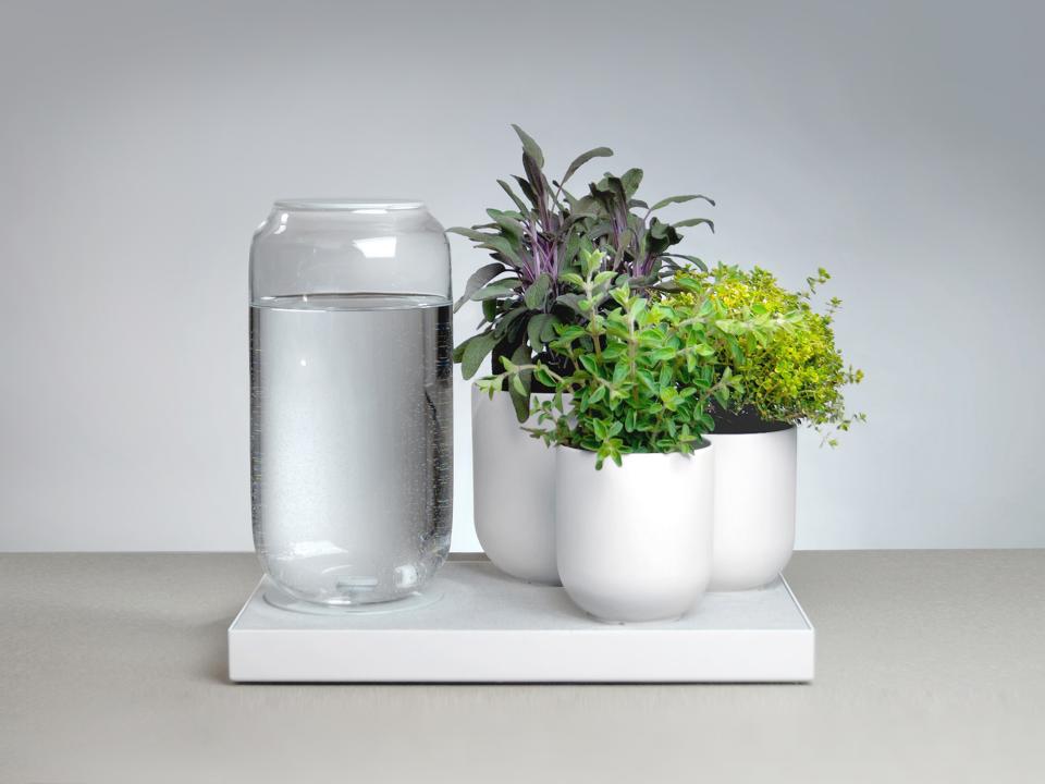 maplantemonbonheur.fr Pikaplant "tableau" maplantemonbonheur.fr pikaplant, plante, technique, humidité, designer, soin, esthétique, concept