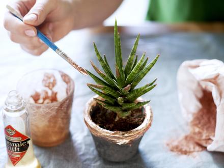 DIY-tip: Vrouwentong met glamourtintje Mooiwatplantendoen.nl