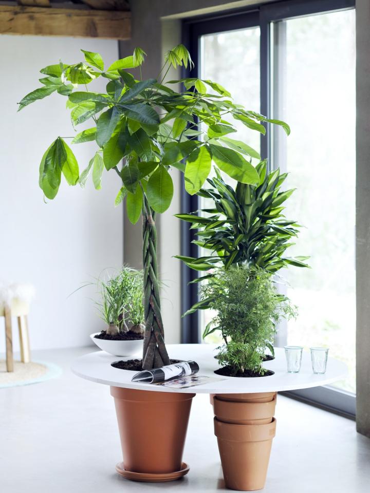 plantezledecor 2016 homedecor maplantemonbonheur.fr 