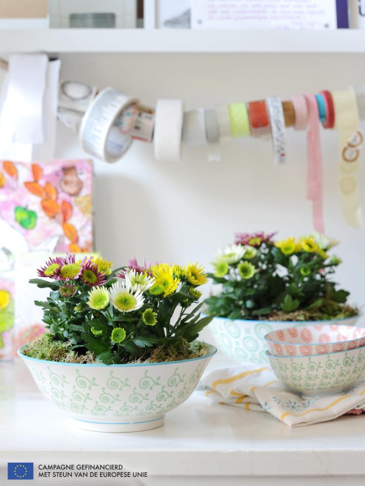 Potchrysant is Woonplant van de maand oktober 2014