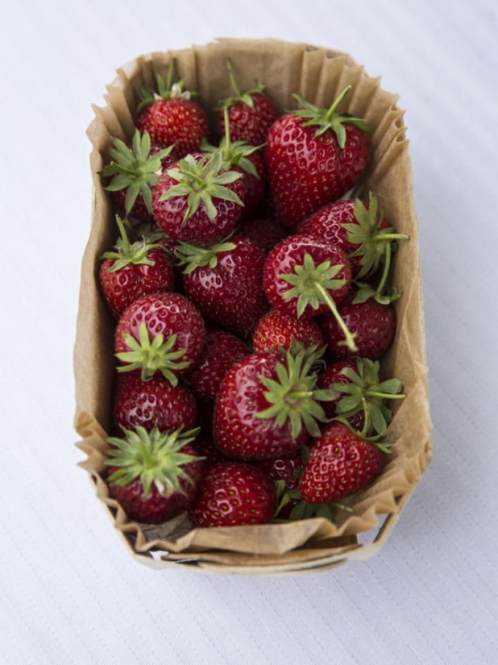 maplantemonbonheur.fr Des fraises sur le toit maplantemonbonheur.fr fraise, été, toit, végétalisation, gastronomie, comestible, bio; ville, fruit, légumr