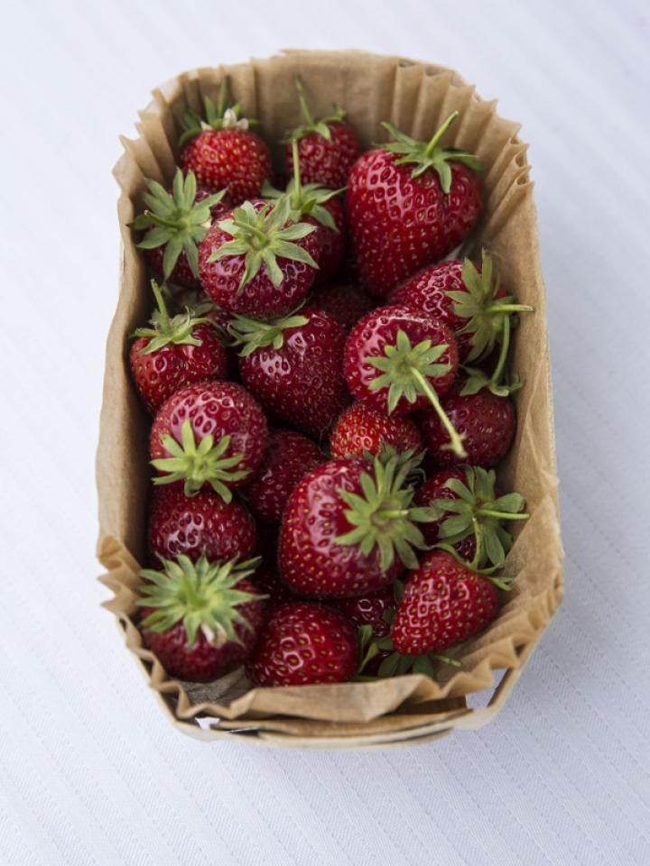 maplantemonbonheur.fr fraise, été, toit, végétalisation, gastronomie, comestible, bio; ville, fruit, légumr                                                                                                                                      