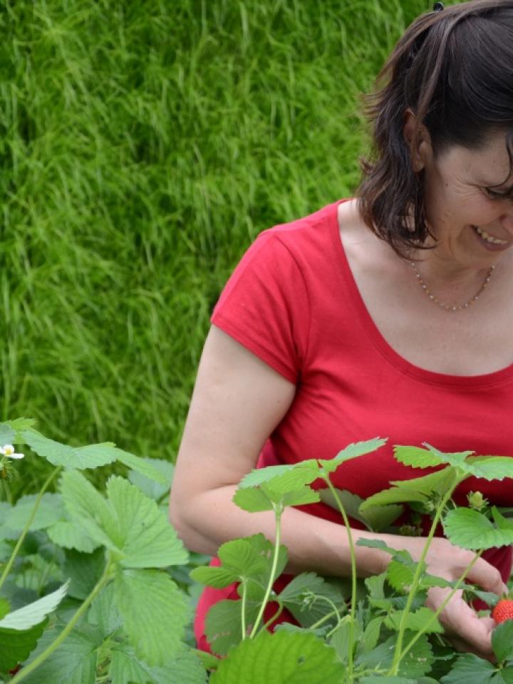 maplantemonbonheur.fr fraise, été, toit, végétalisation, gastronomie, comestible, bio; ville, fruit, légumr                                                                                                                                      