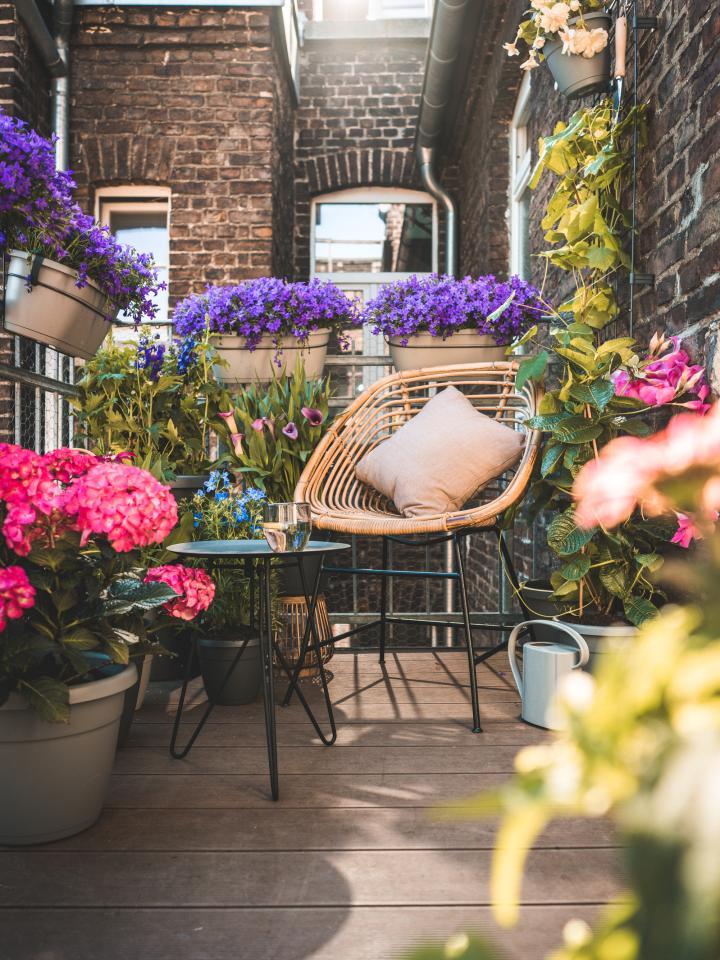 Een zomertuin of -balkon die bijdraagt aan de biodiversiteit | Mooiwatplantendoen