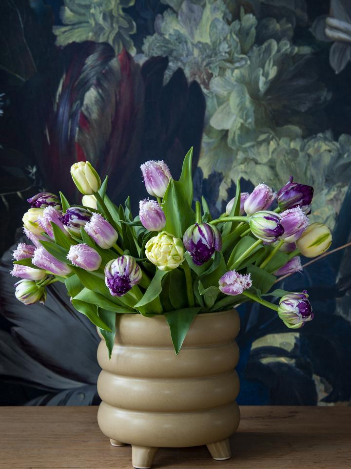 bouquet de tulipes