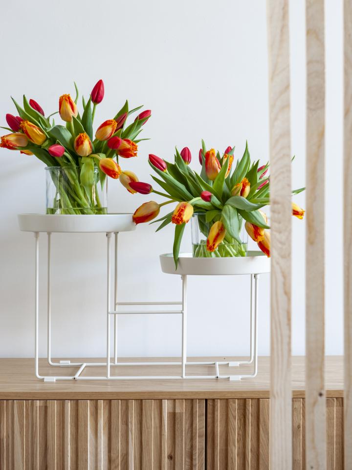 bouquets de tulipes bicolores