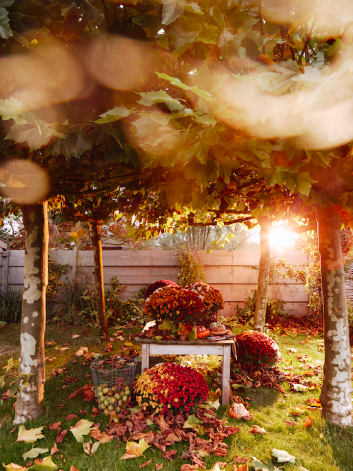 Décoration de jardin extérieur oiseau rouille, décoration d'automne,  outdoor
