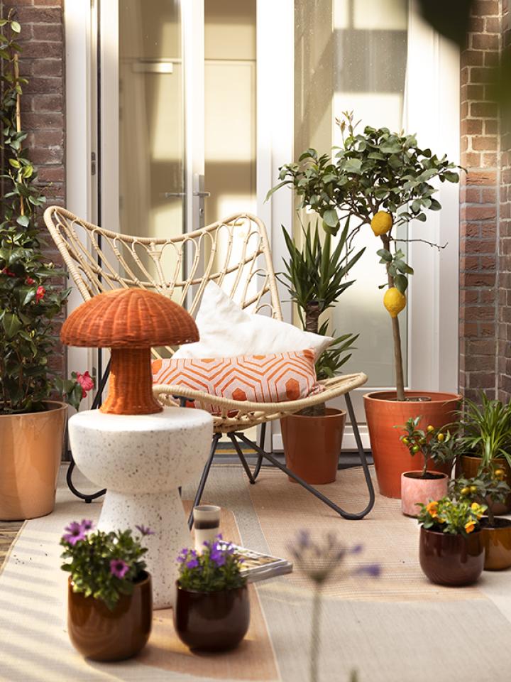 Balkon zon | balkonplanten zonnig terras 