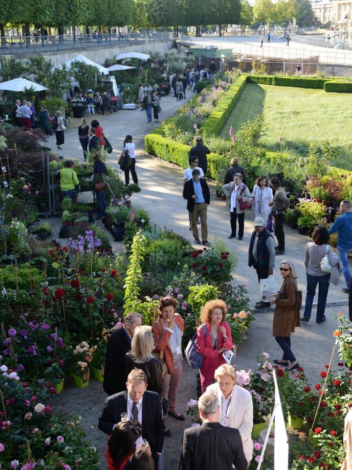 maplantemonbonheur.fr Paris jardin jardin tuillerie 