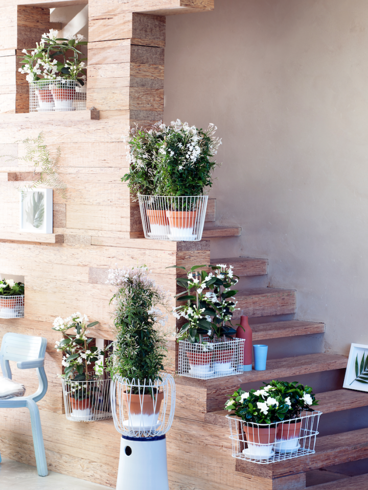 maplantemonbonheur.fr green homedecor plante 