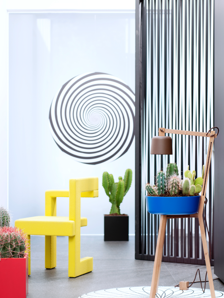 maplantemonbonheur.fr green homedecor plante 