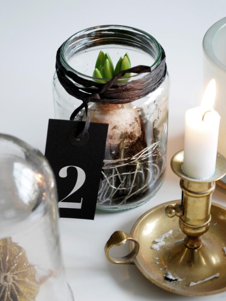 DIY : les Jacinthes récup'chic | Ma plante mon bonheur