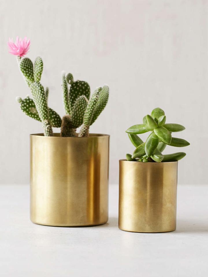 maplantemonbonheur.fr, luxe, or, fêtes, bling bling, chic, beau, pot, feuille, tradition, urban outfitters, cactus, plantes