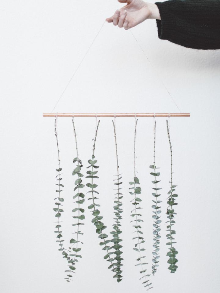 DIY : une suspension murale d'eucalyptus Maplantemonbonheur.fr