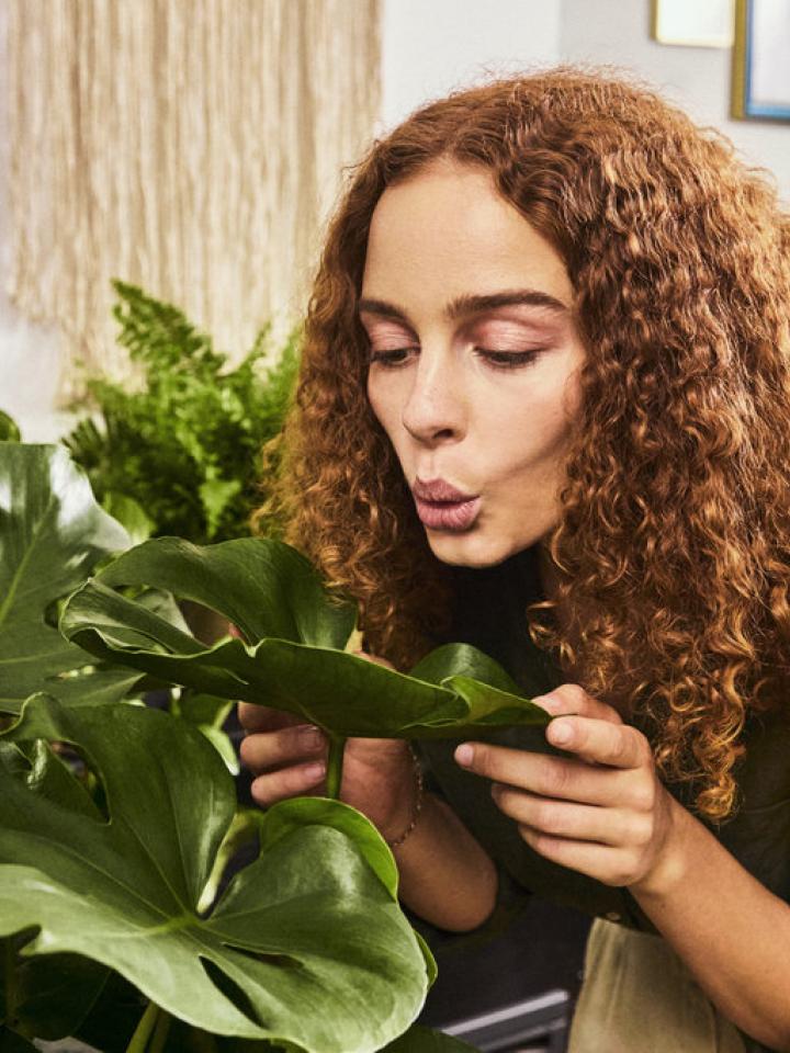 La Journée d'appréciation des plantes d'Intérieur _Maplantemonbonheur.fr